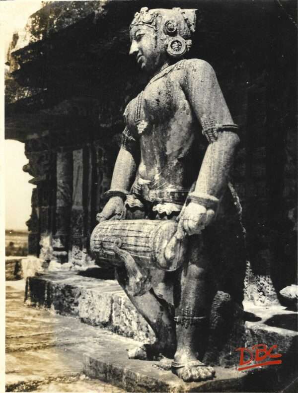 konarak sun temple druner