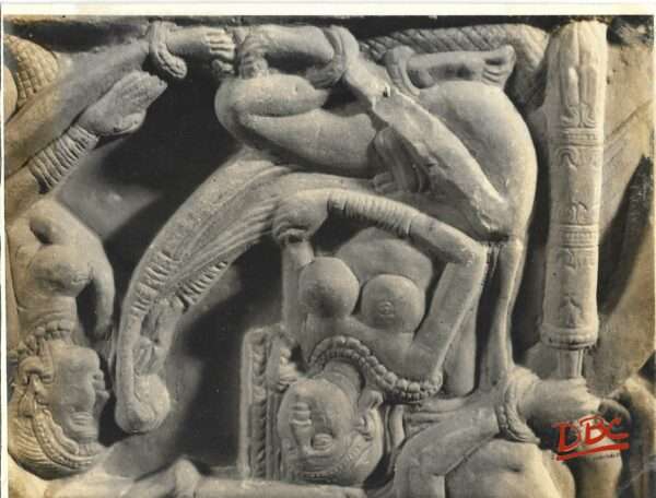 nagarjumakonda close up of a voilin playen