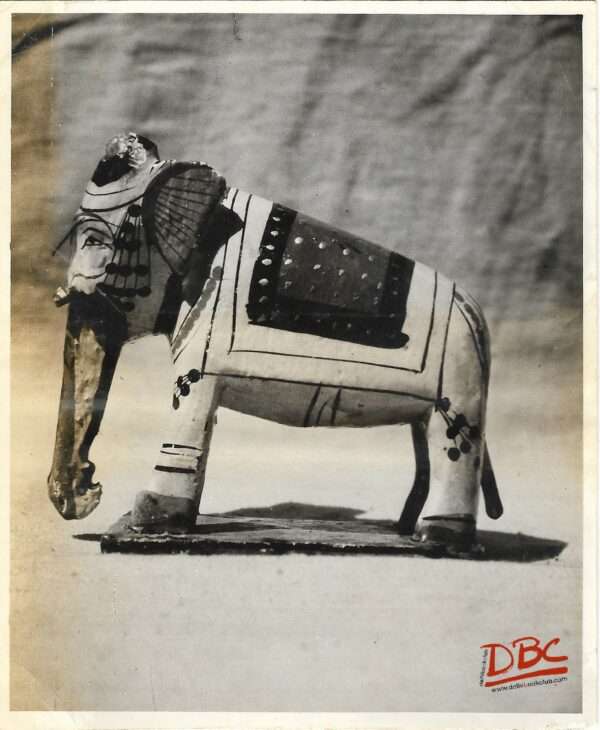 elephant from banaras