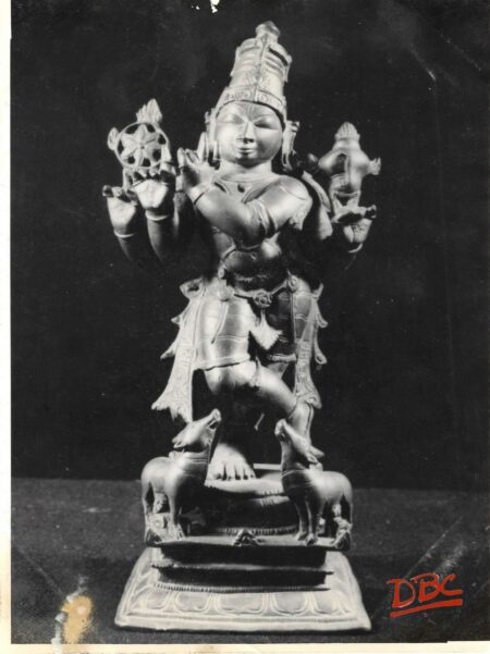 brozw figure