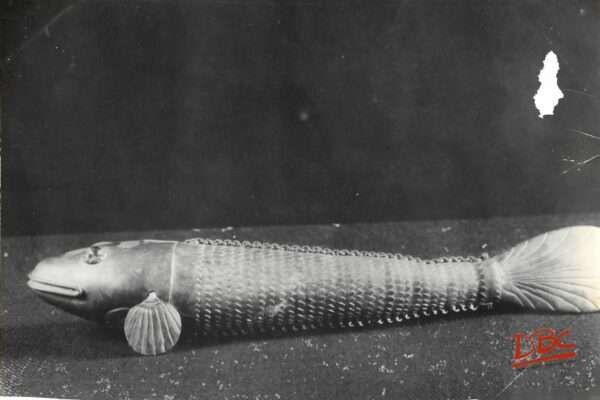 flescible fish