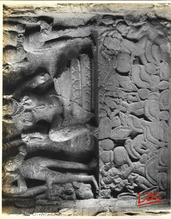 Ellora Cave No. 14 - Lotus Land