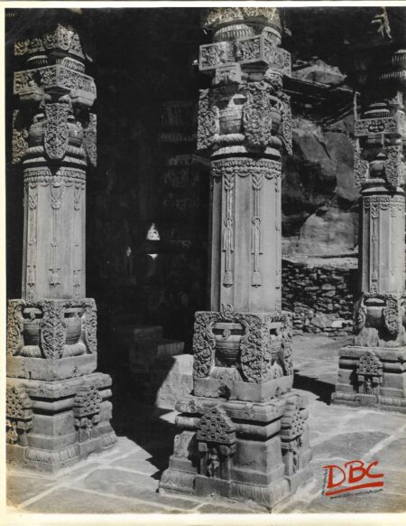 Gyaraspur Maladevi Temple, Decorated Pillars