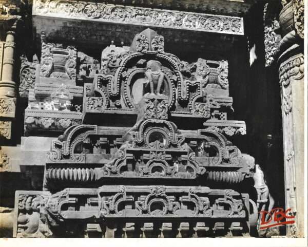 Gyaraspur Maladevi Temple, Decorative Design on the Temple