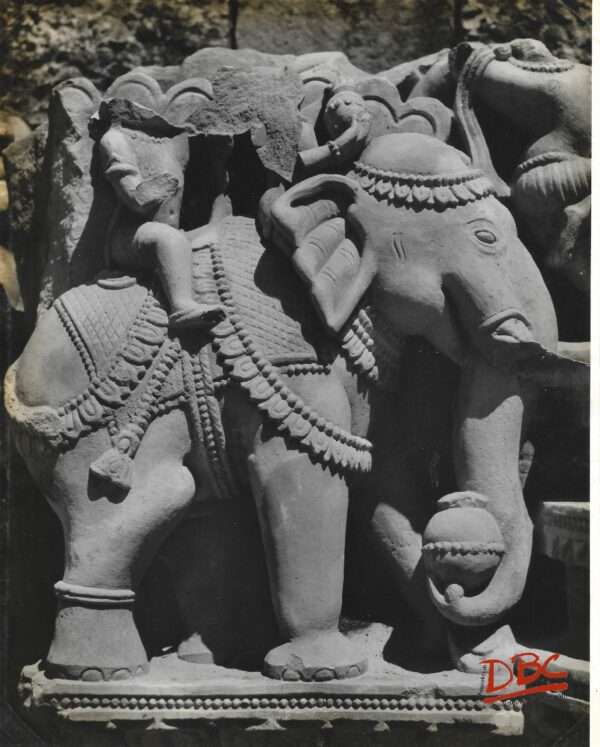 Gyaraspur - Maladevi Temple Close up of an Elephant in the Compound