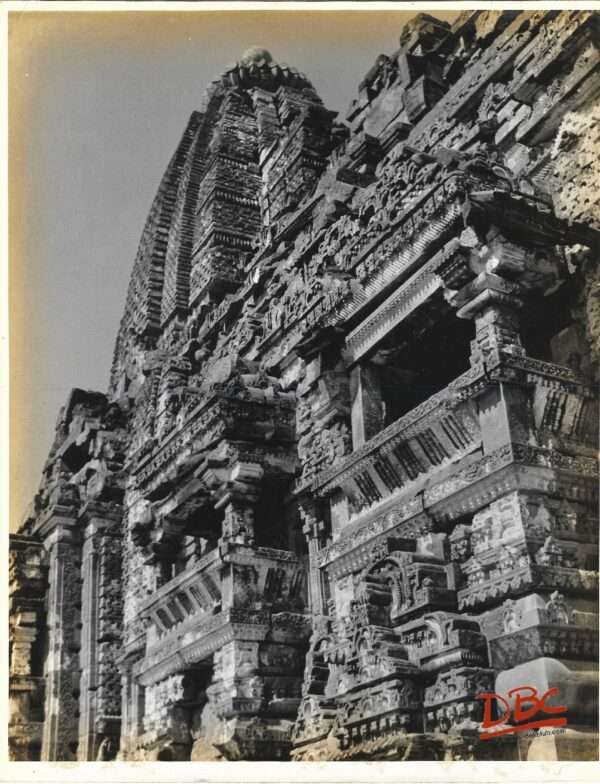 Gyaraspur - Maladevi Templle - Pillar Details