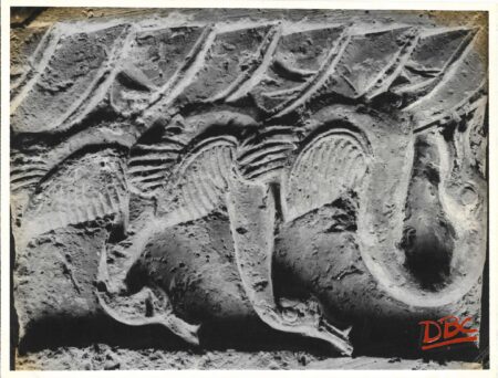 Ashutosh Museum, Calcutta : Ducks (Terracotta)