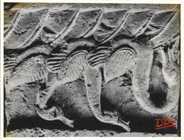 Ashutosh Museum, Calcutta : Ducks (Terracotta)