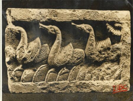 Ashutosh Museum Calcutta A : Ducks (Terracotta)