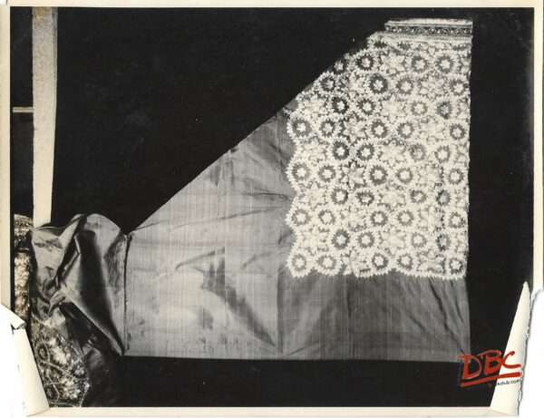 Salwar Gold Embd