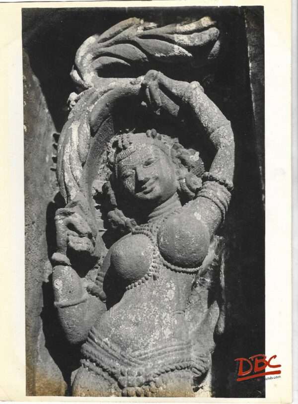 Bhuvanesvar - Rajrani Temple - A Female Figure