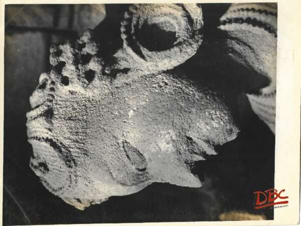 Bhuvanesvar - Linga - Raj Temple - The Head of the Female Figure
