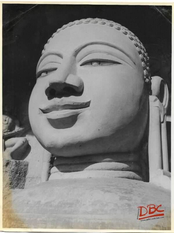 Gwalior - Marimata Cave - Colossal head of jain Image