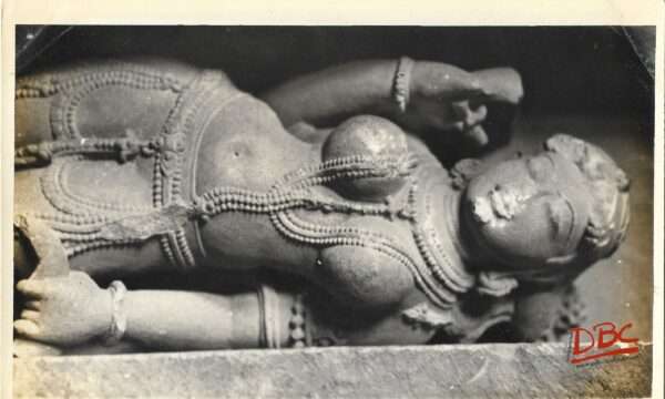 Gyaraspur - Maladevi Temple Decorated Pillar