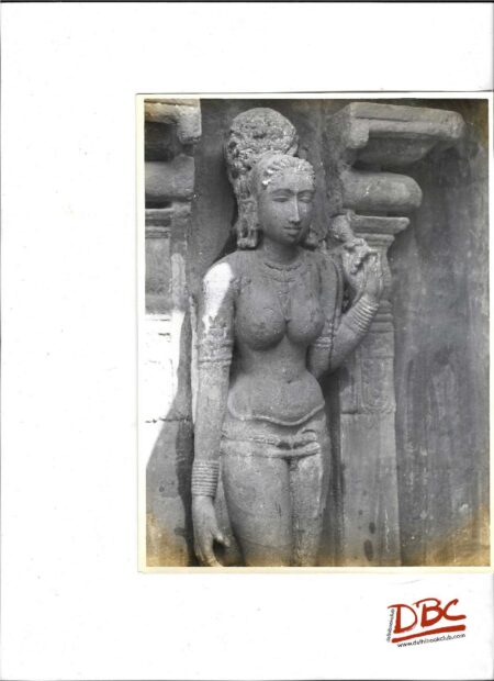 Kumbhokonam - Nagewas Swami Temple - Close up of a Female Figure