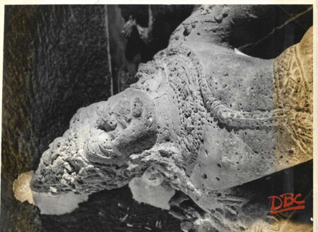 Ellora - Kailash Dwarpala