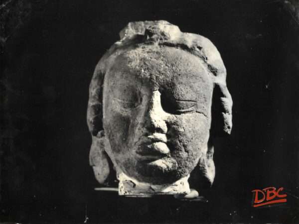 Patna Museum : Terracotta