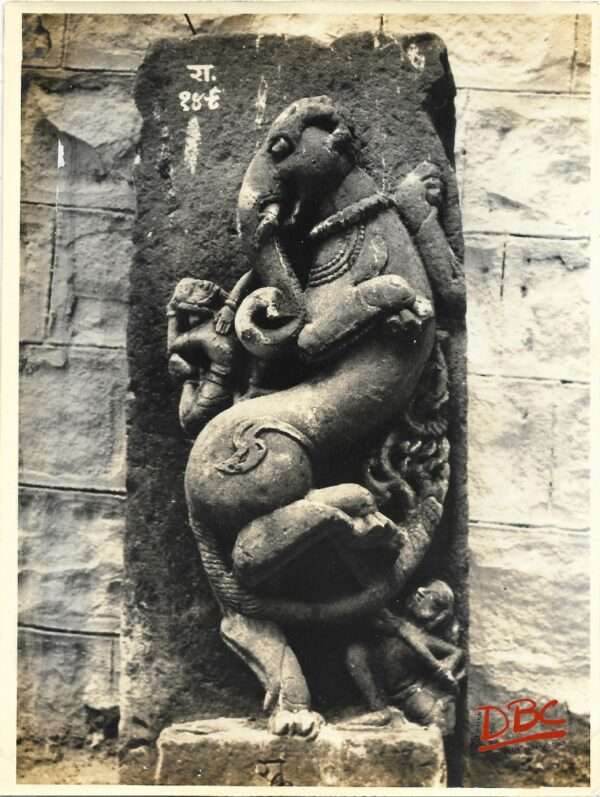Kotah Museum : Sardula