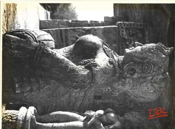Konark - Female Musician