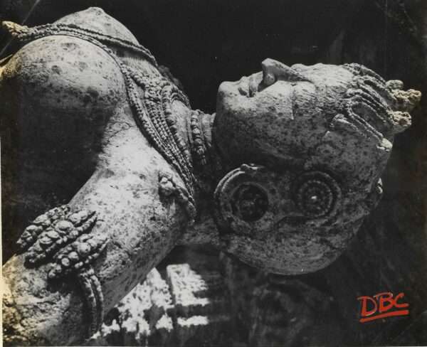 Konark - Profiles of a Femal Musician