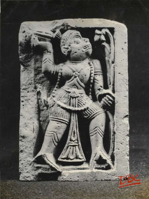 Ashutosh Museum : Hanuman Standing