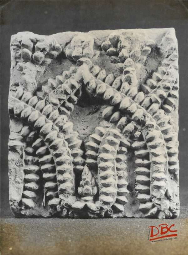 Ashutosh Museum - Calcutta - Floral Design - Terracotta