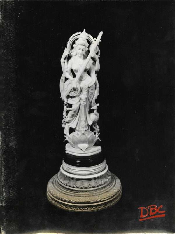Ivory