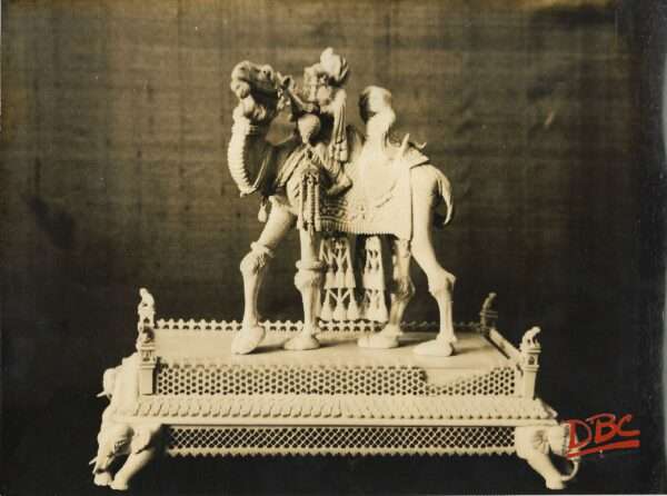 Camel Ivory Rajasthan
