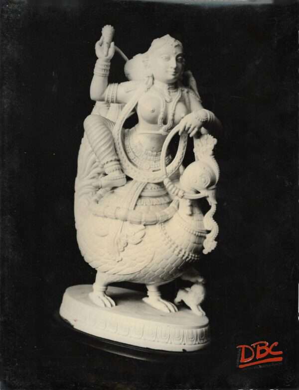 Rati Ivory Banglore