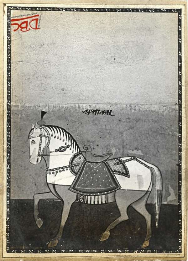 Paper Rashi Paintig - Ashwahar (Rajsthan)