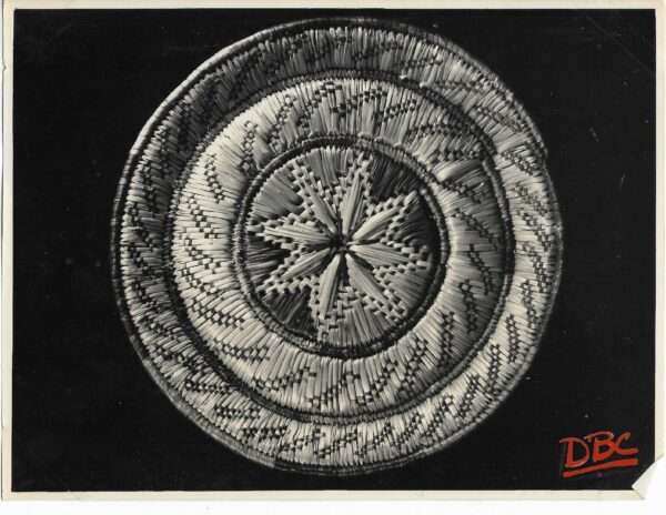 Grass Plate