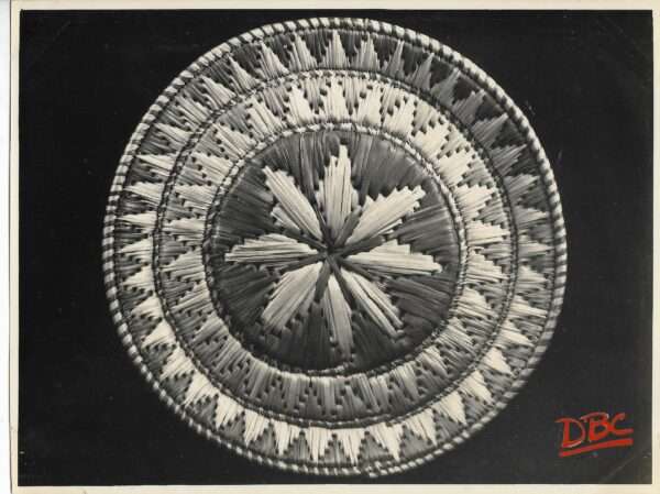 Grass Plate