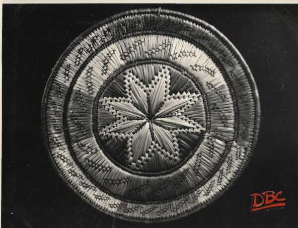 Grass Plate