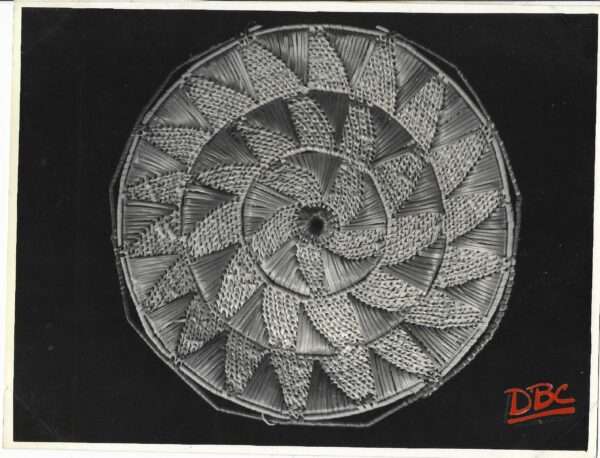 Grass Plate