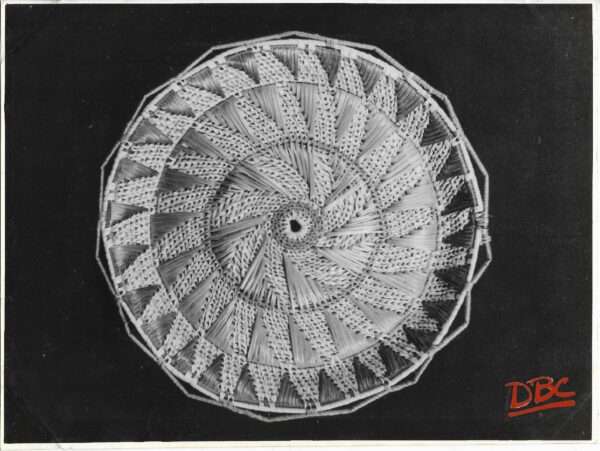 Grass Plate