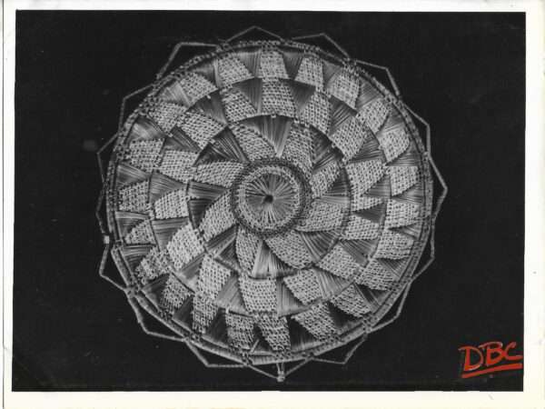 Grass Plate
