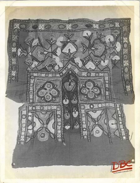 Embed Choli Cotton (Punjab)