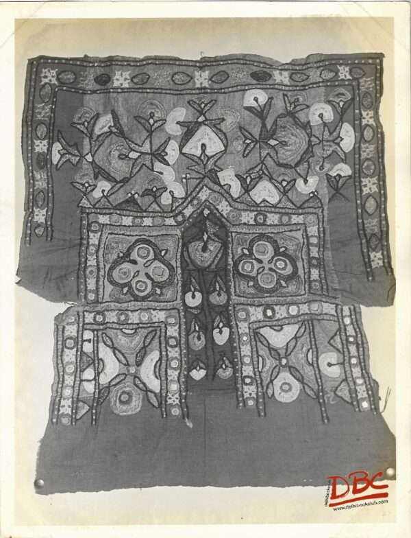 Embed Choli Cotton (Punjab)