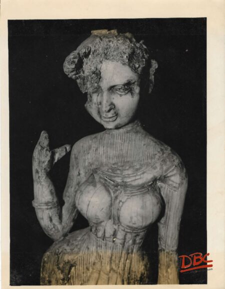 A Female Figure