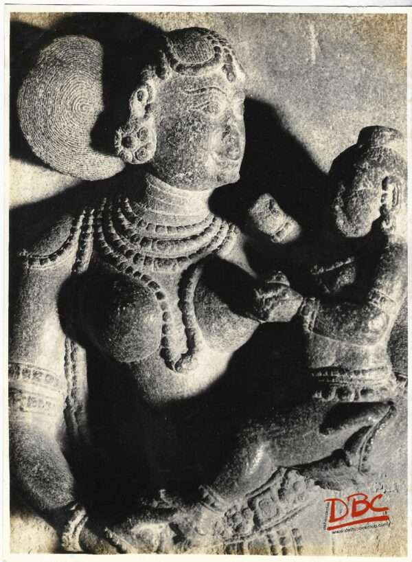 Fig. on a Pillar (Vellora)