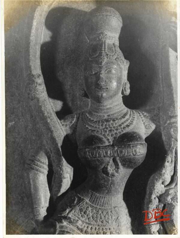 Vellora : Fig. on a Pillar