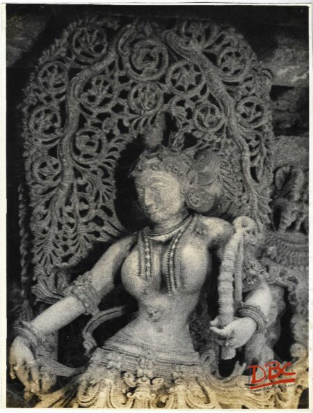 Belur : Chinnakeshwar Temple (Bracket Female Fig.)
