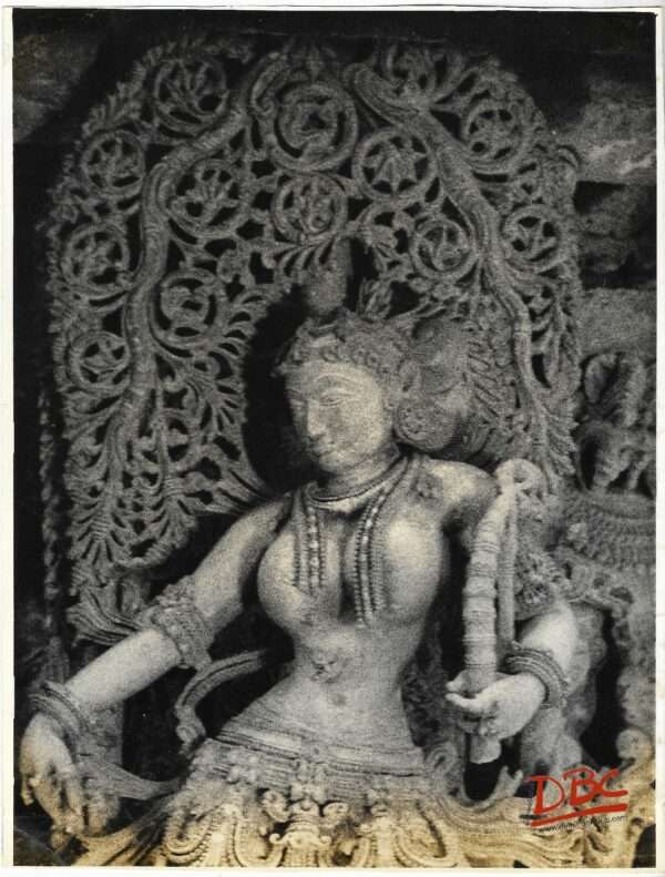 Belur : Chinnakeshwar Temple (Bracket Female Fig.)