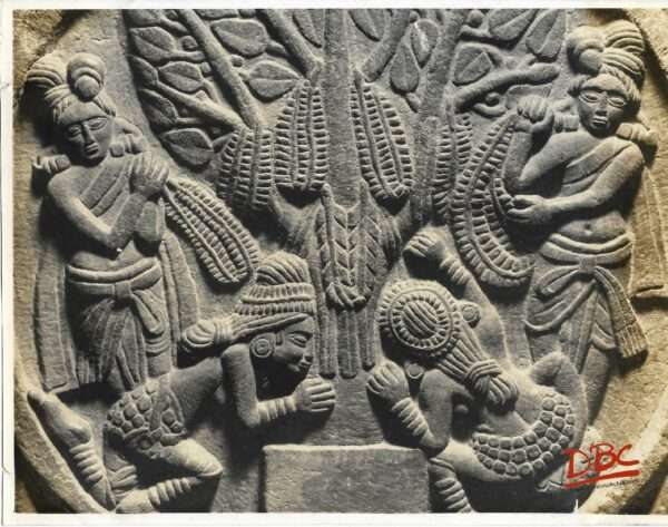 Bharut : Kashyapa Jataka