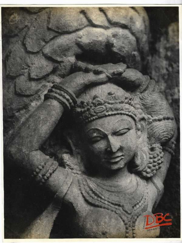 Bhubaneshwar : Kedareshwar Temple - Close up of a Female Fig