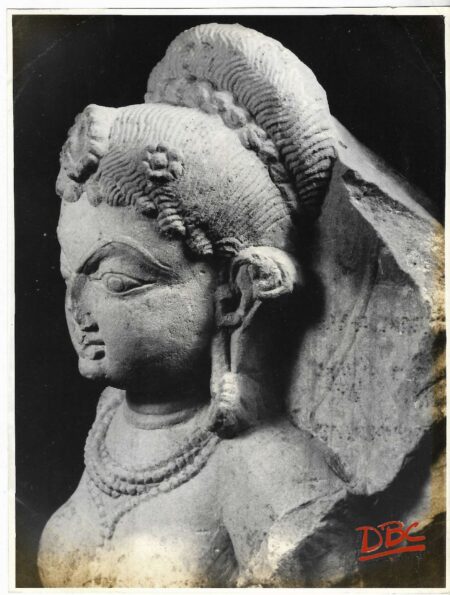 Lucknow Museum : Bust of a Female Fig.