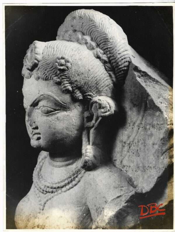 Lucknow Museum : Bust of a Female Fig.