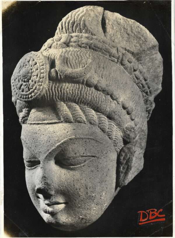 Allahabad University Kaushambi Museum - A Head