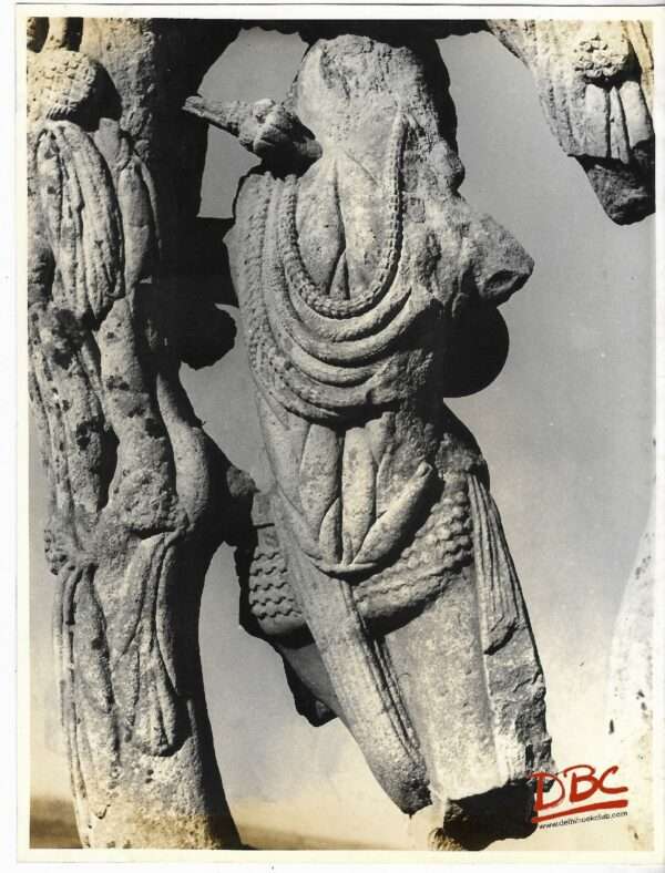 Sandi : Back of the Wastern Salibhanjila - North Gate Stupa No. 1