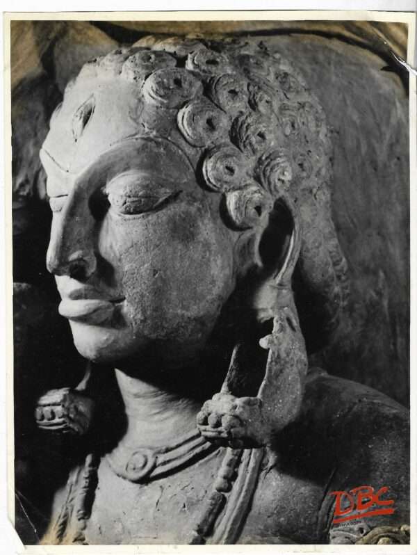 Ahichchhatra : Yamuna